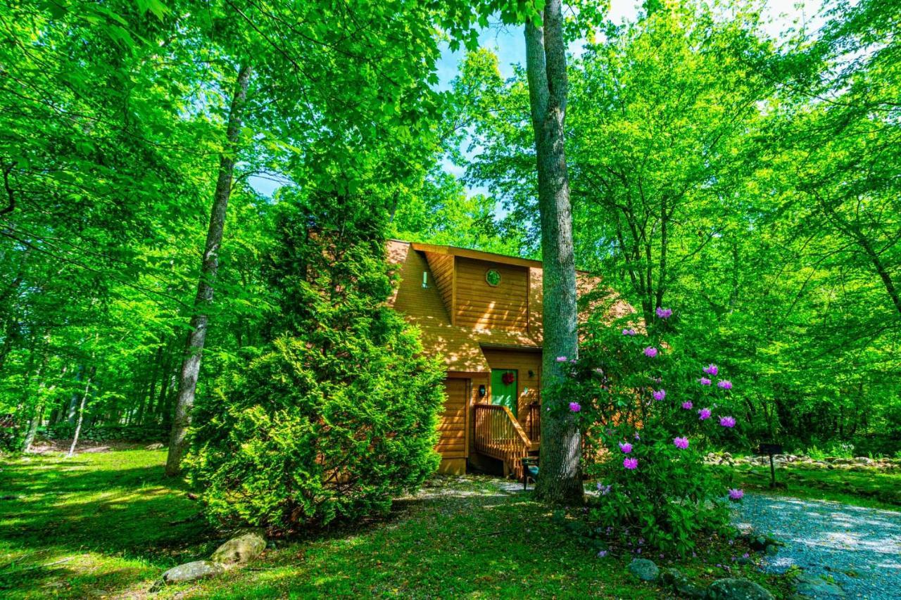 Bear Footin' On The Creek Vila Gatlinburg Exterior foto